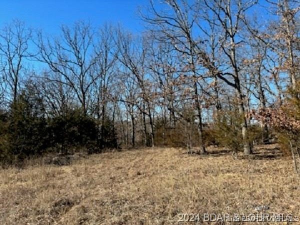 TBD BUCKINGHAM Drive Camdenton Missouri home for sale listed at $39,500