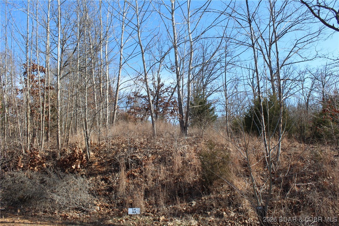 Photo 20