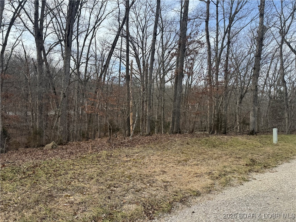 LOT 749 Fairlawn Drive Lake Ozark Missouri home for sale listed at $17,500