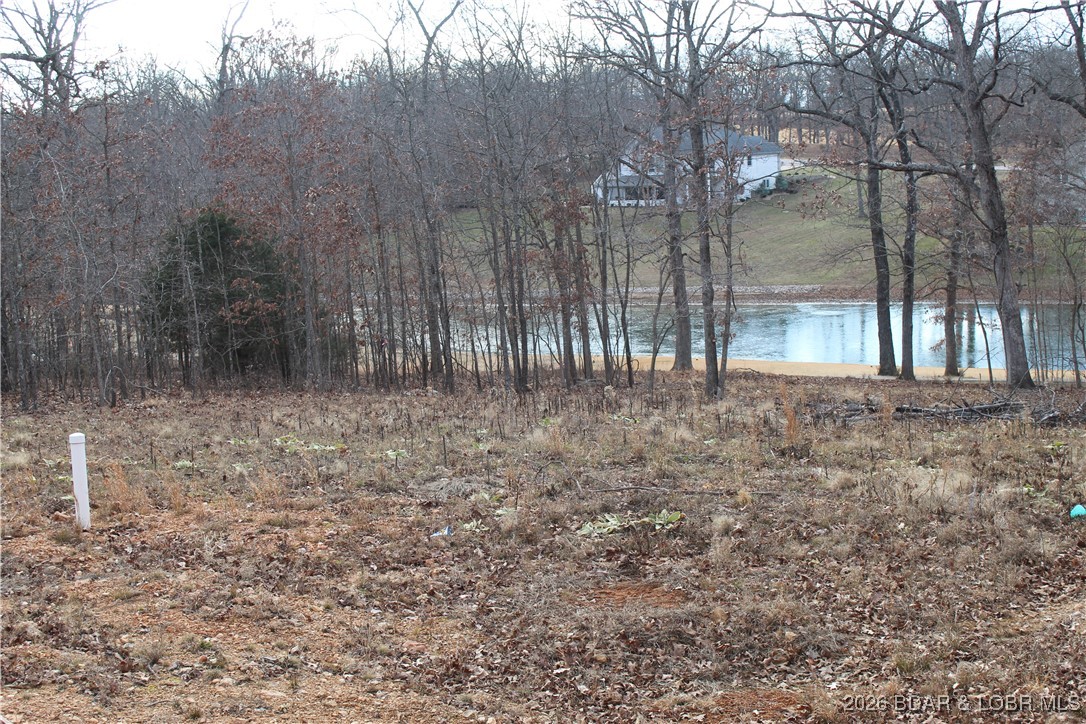 126 Indian Rock Avenue Gravois Mills Missouri home for sale listed at $44,500