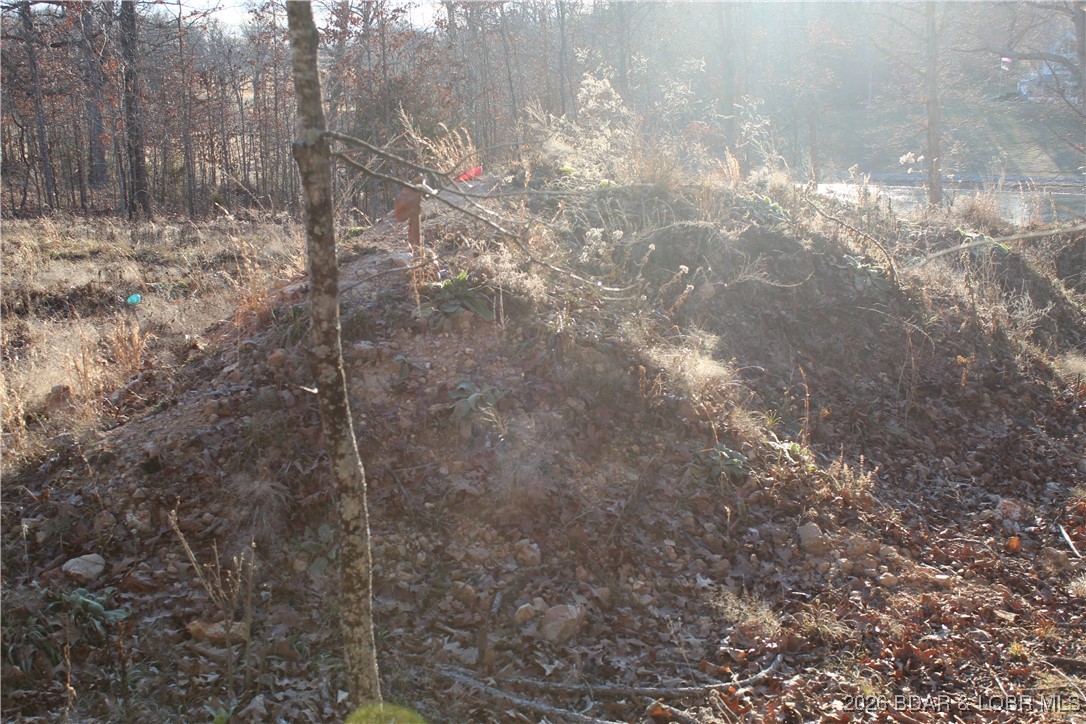 Photo 24