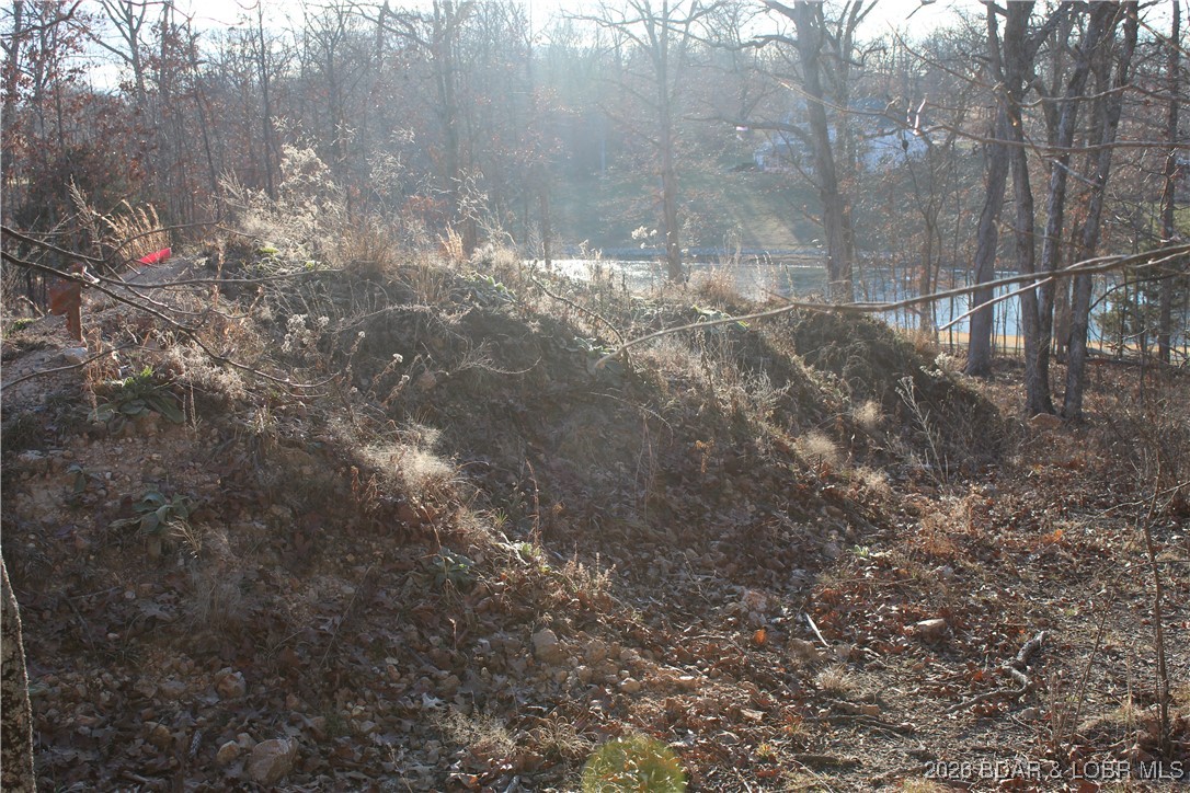 Photo 25