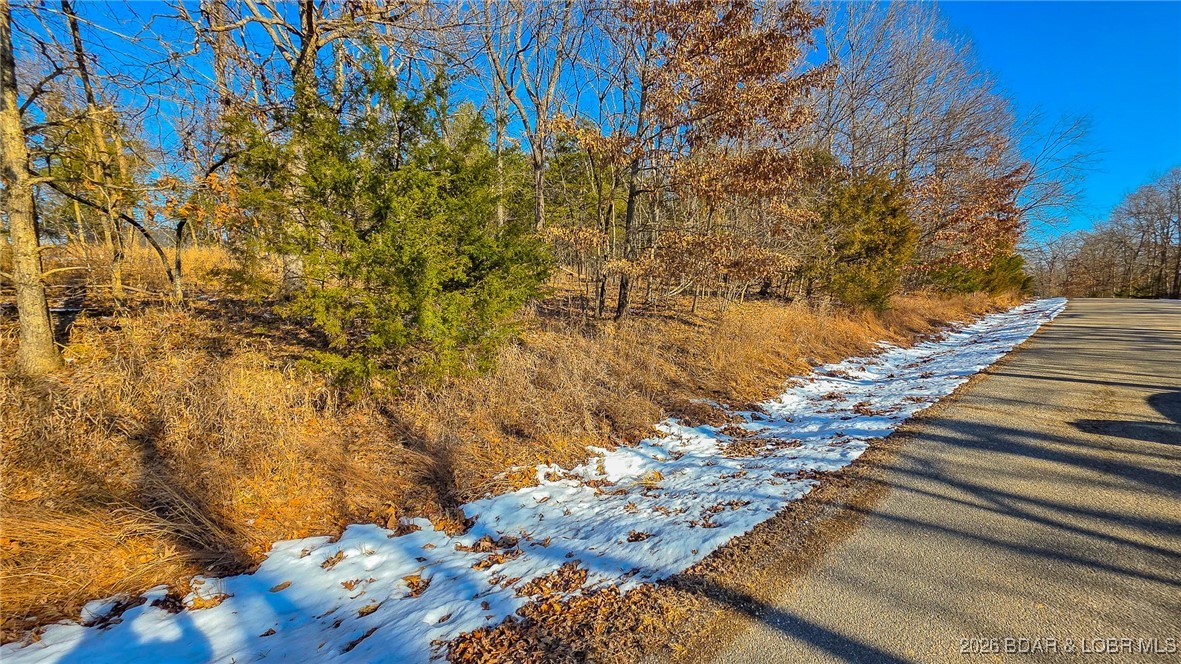Lot #1356 Champion Drive Sunrise Beach Missouri home for sale listed at $29,900