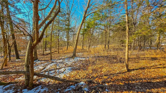 Living room — Lot #1356 Champion Drive Sunrise Beach Missouri real estate