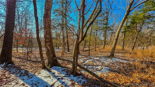 Kitchen — Lot #1356 Champion Drive Sunrise Beach Missouri real estate