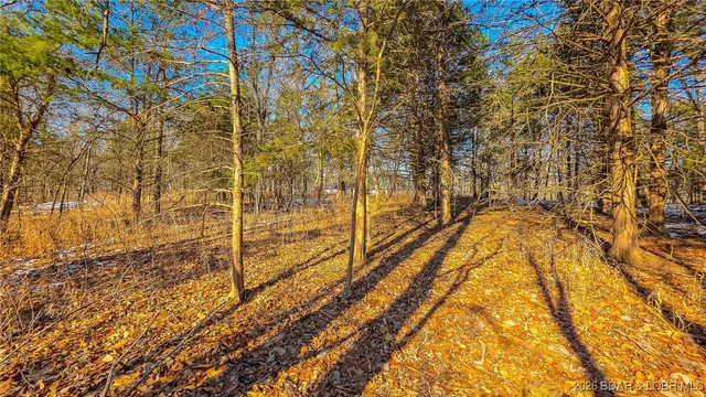 Primary bedroom — Lot #1356 Champion Drive Sunrise Beach Missouri real estate
