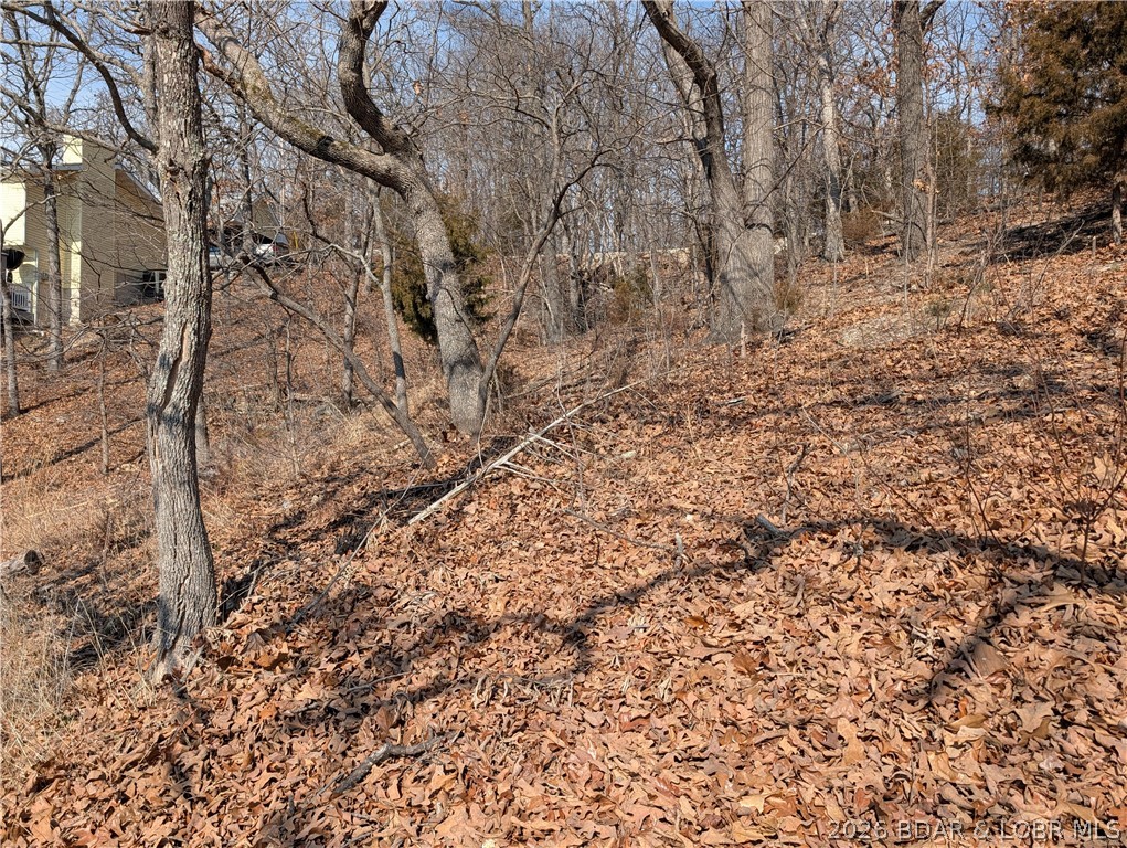 Photo 25