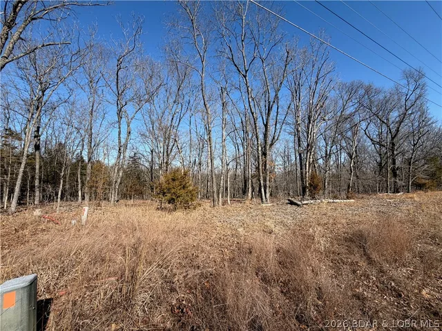 Living room — Lot 1080 Shawnee Bend Road Porto Cima Missouri real estate