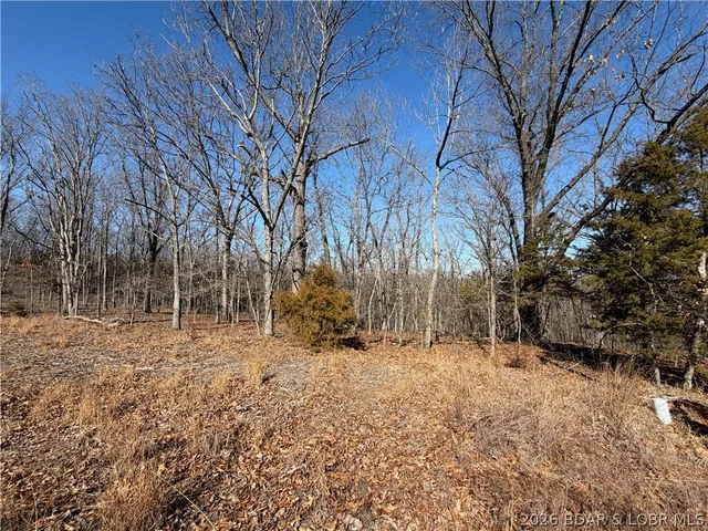 Living room — Lot 1079 Shawnee Bend Road Porto Cima Missouri real estate