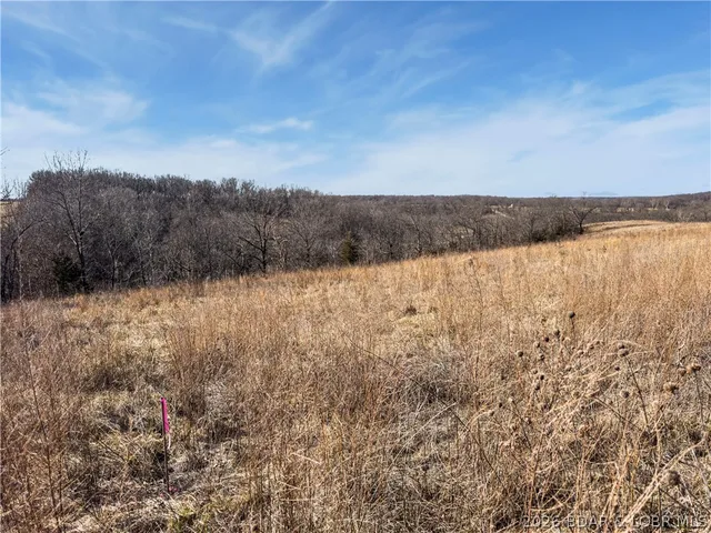 Primary bedroom — Tract B Camden Line Road Lebanon Missouri real estate