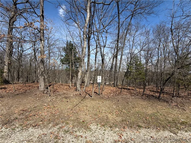 Living room — Lot 339 Ferncrest Lane Villages Missouri real estate