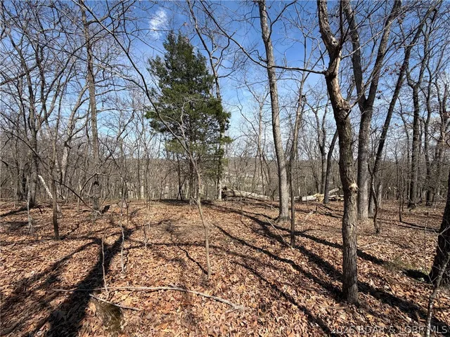 Kitchen — Lot 339 Ferncrest Lane Villages Missouri real estate
