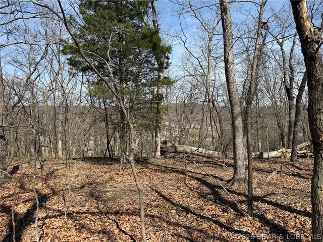 Primary bedroom — Lot 339 Ferncrest Lane Villages Missouri real estate