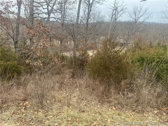 Front exterior — Lot 50 Country Club Cove Drive Lake Ozark Missouri real estate