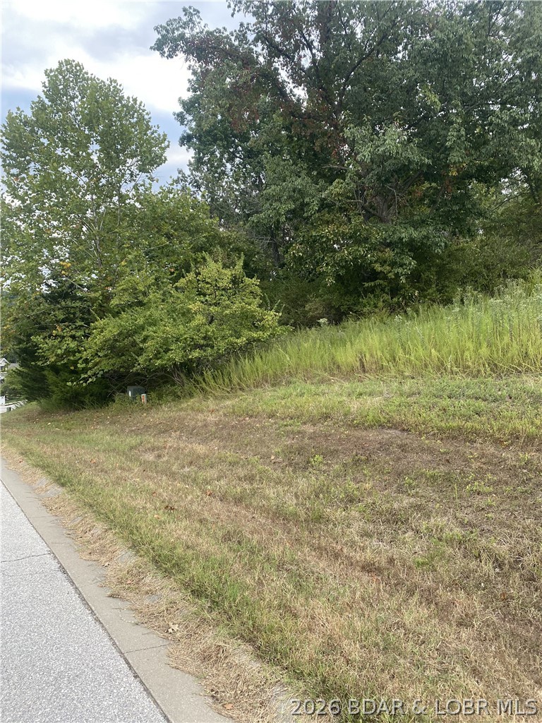 Lot 29 Country Club Cove Drive Lake Ozark Missouri home for sale listed at $49,000