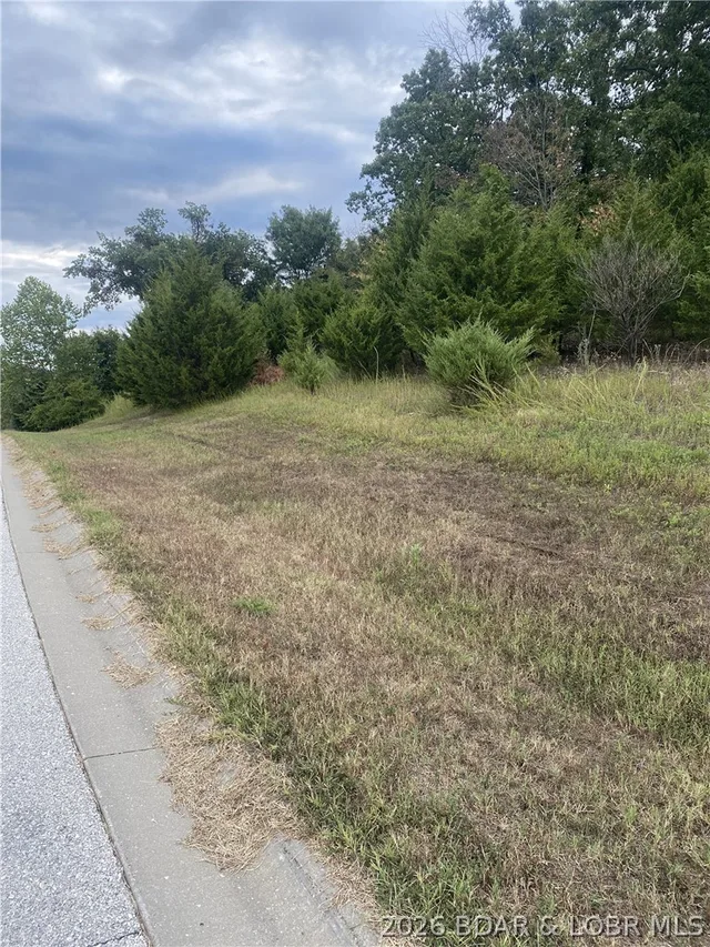 Primary bedroom — Lot 29 Country Club Cove Drive Lake Ozark Missouri real estate