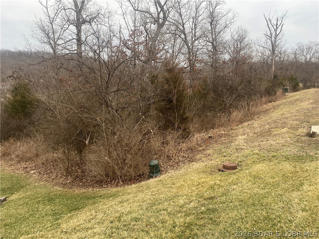Lot 49 Country Club Cove Drive Lake Ozark Missouri home for sale listed at $22,500