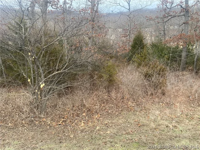 Front exterior — Lot 49 Country Club Cove Drive Lake Ozark Missouri real estate