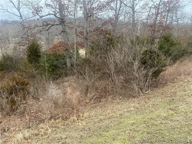 Living room — Lot 49 Country Club Cove Drive Lake Ozark Missouri real estate