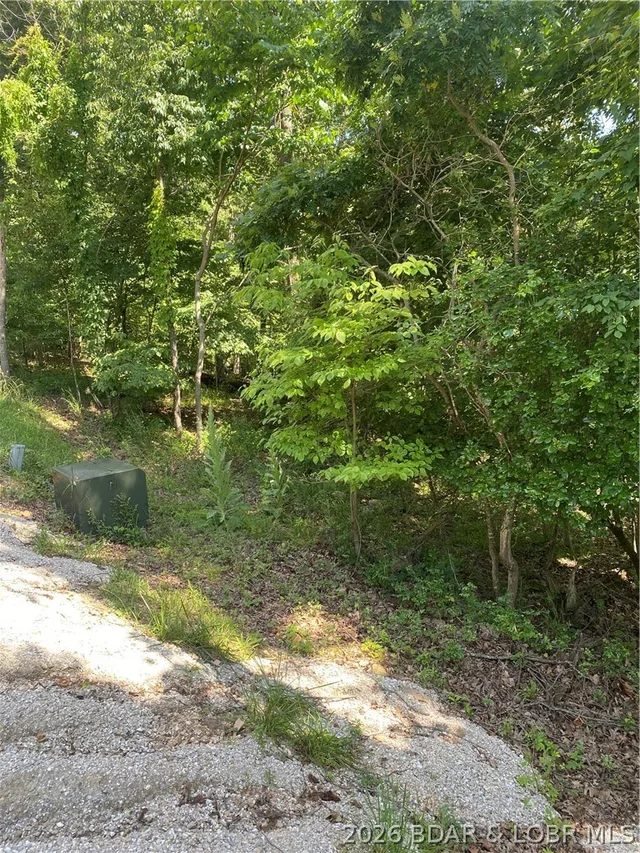 Front exterior — Lot 125 Veronica Lane Lake Ozark Missouri real estate
