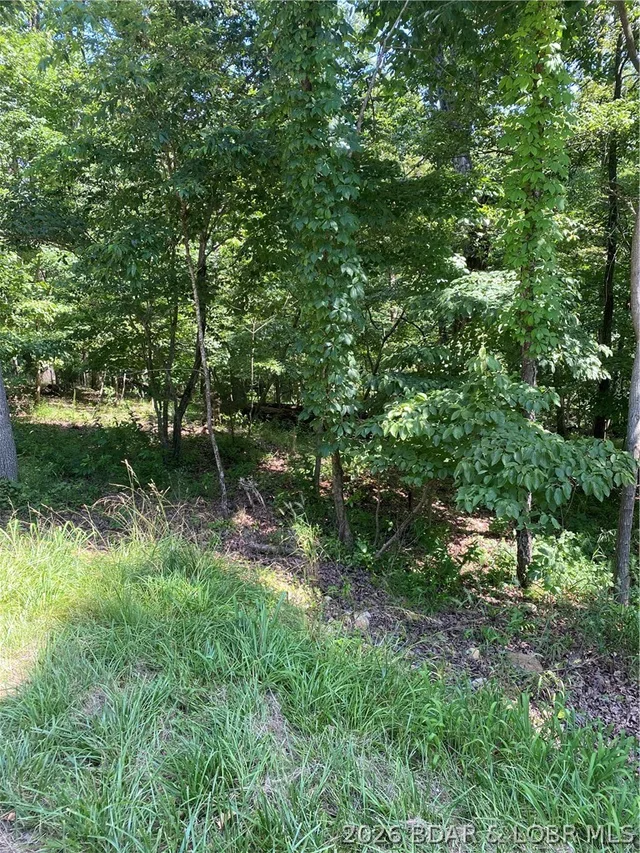 Kitchen — Lot 125 Veronica Lane Lake Ozark Missouri real estate
