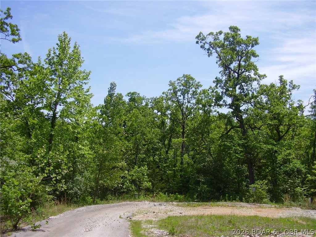 21 Silver Spur Court Camdenton Missouri home for sale listed at $19,000