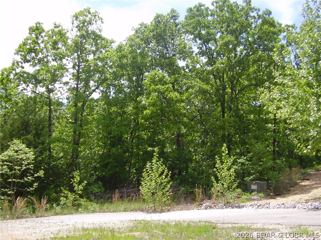 22 Silver Spur Court Camdenton Missouri home for sale listed at $20,000