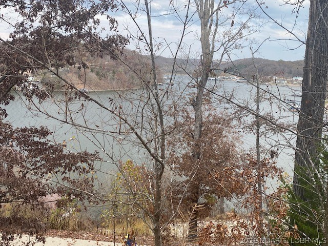 Lot 74 Eagle Bay Drive Gravois Mills Missouri home for sale listed at $39,000