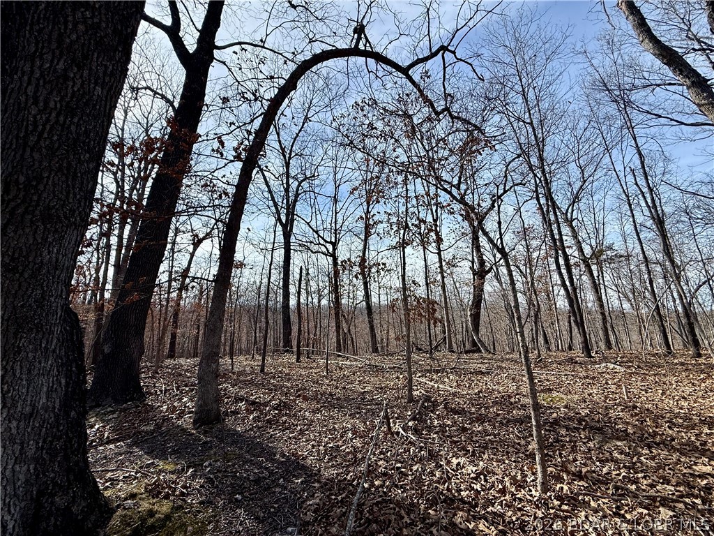Photo 28