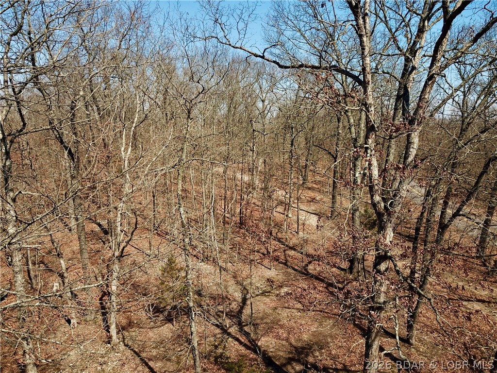 Photo 32
