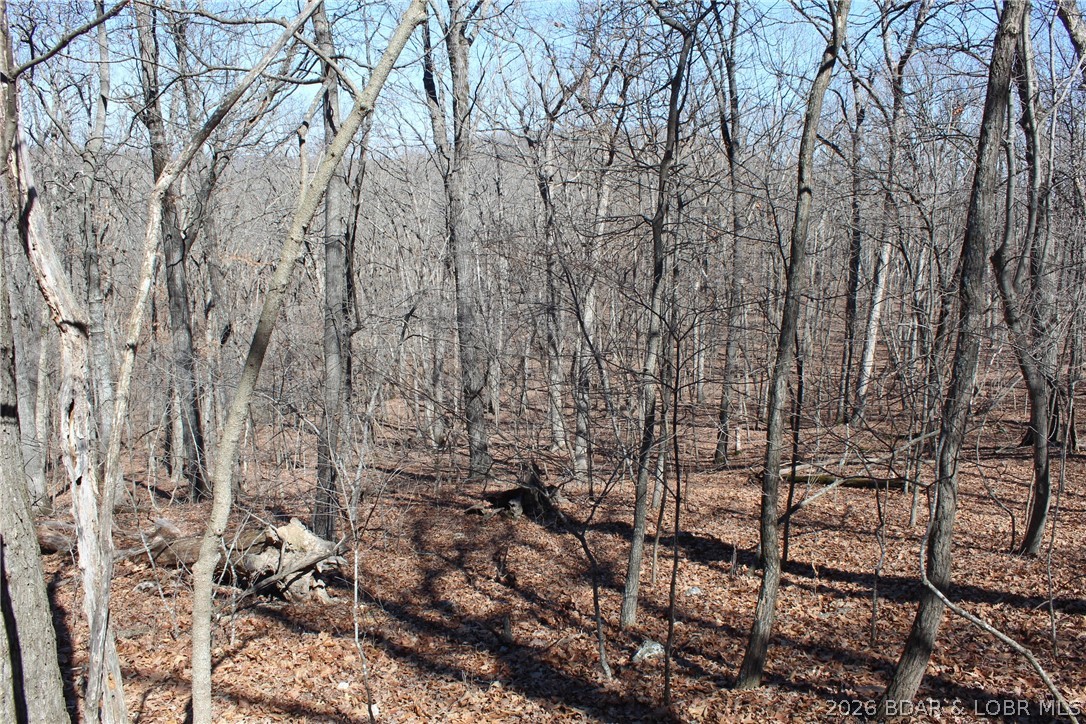 Photo 26