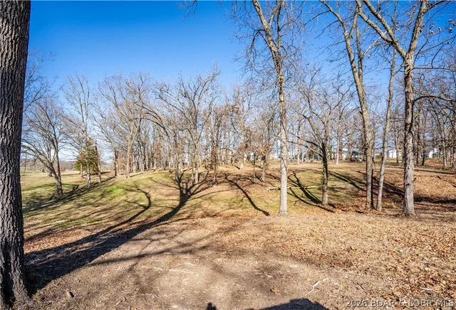 Primary bedroom — TBD Hwy 52 Eldon Missouri real estate