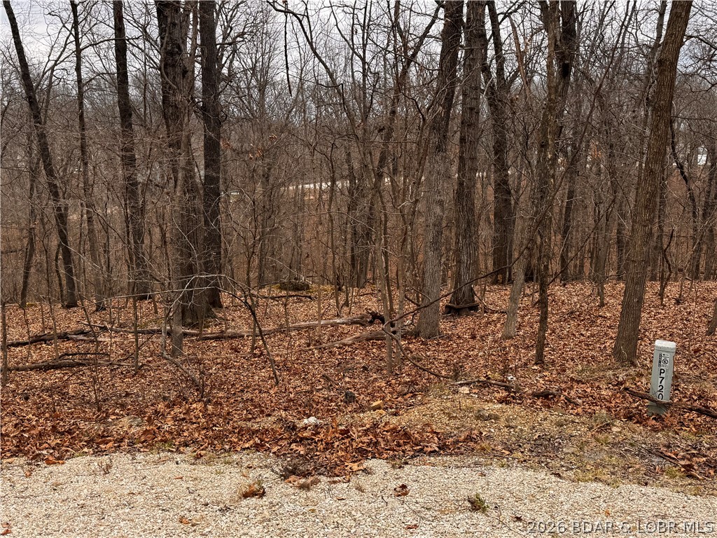 718 & 719 Fairlawn Circle Lake Ozark Missouri home for sale listed at $7,999