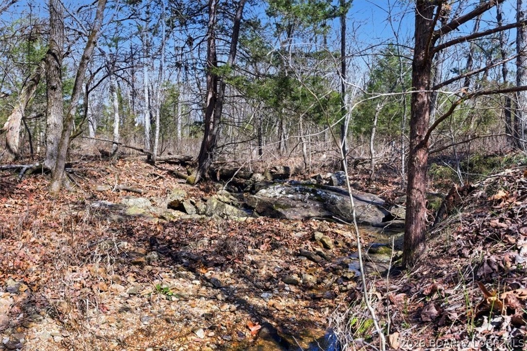 Photo 36