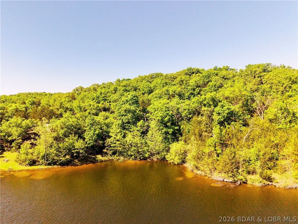 Lots 46 and 47 Lightfoot Lane Rocky Mount Missouri home for sale listed at $39,900