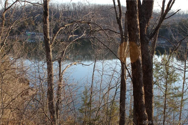 Kitchen — Lot 47 Lightfoot Lane Rocky Mount Missouri real estate