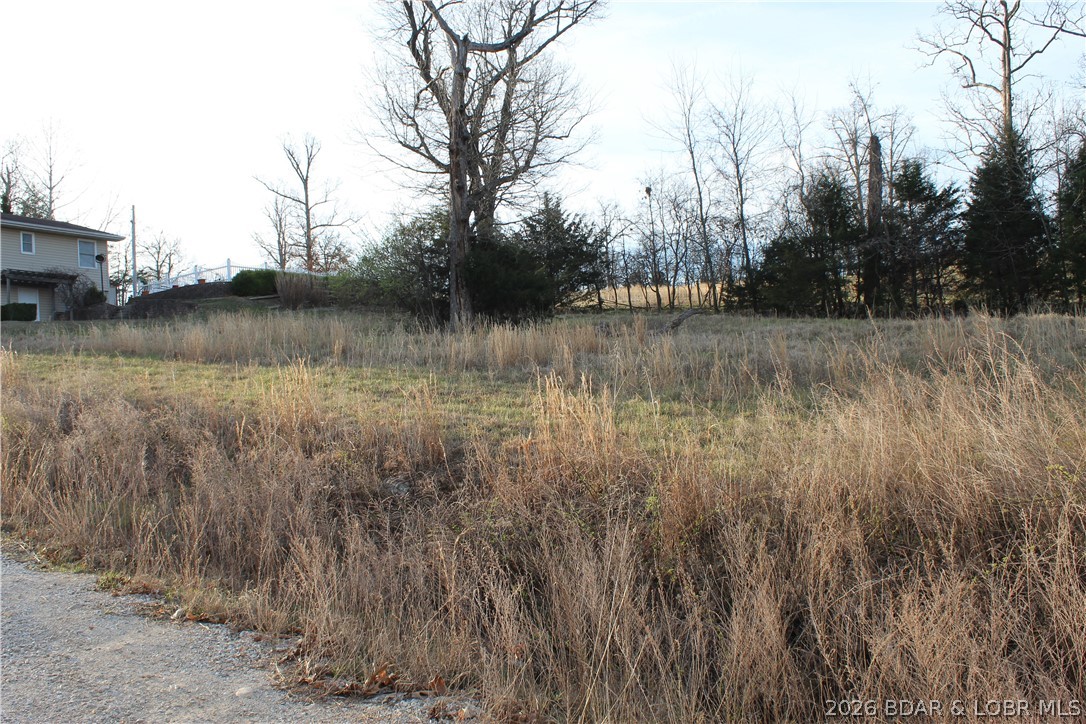 Lot C-12 Country Life Road Gravois Mills Missouri home for sale listed at $21,900