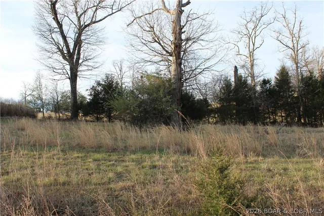 Front exterior — Lot C-12 Country Life Road Gravois Mills Missouri real estate
