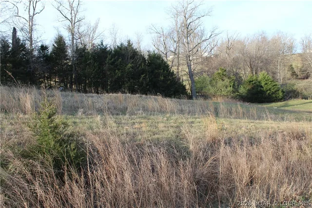 Living room — Lot C-12 Country Life Road Gravois Mills Missouri real estate