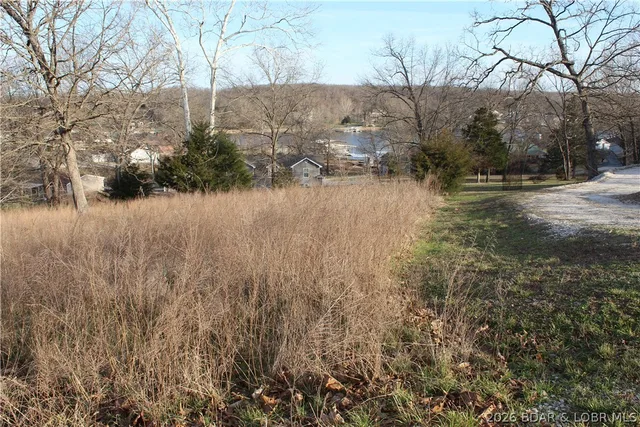 Living room — Lot C-7 Country Life Road Gravois Mills Missouri real estate