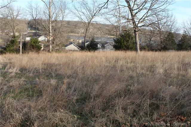 Primary bedroom — Lot C-7 Country Life Road Gravois Mills Missouri real estate