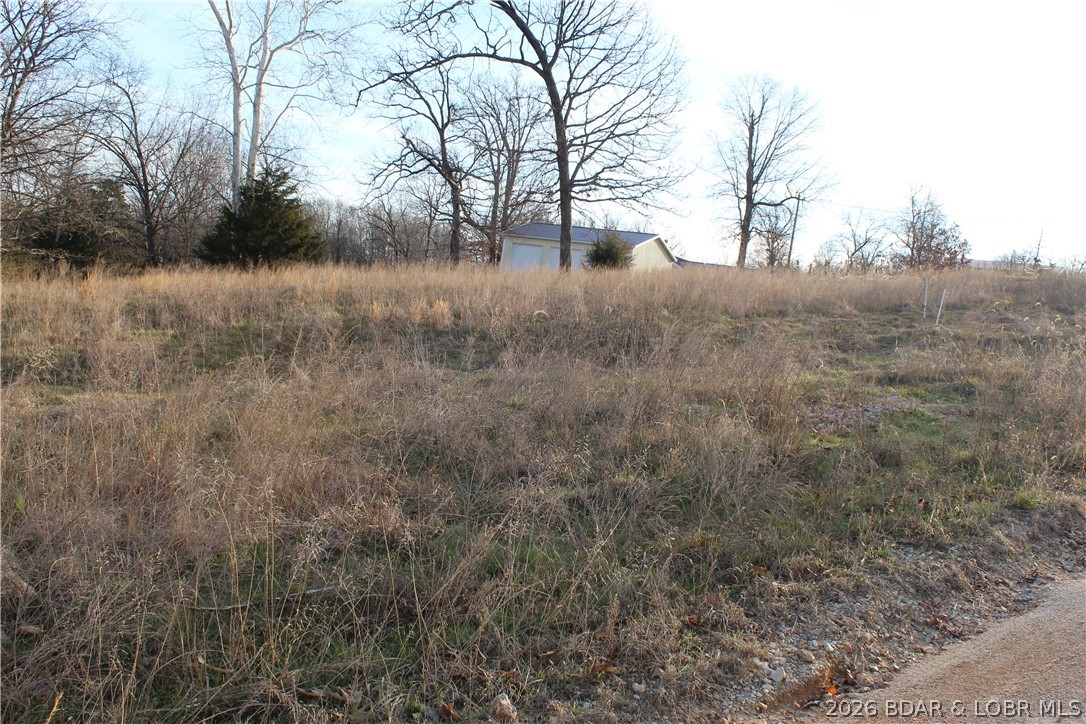 Lot C-8 Country Life Road Gravois Mills Missouri home for sale listed at $26,500