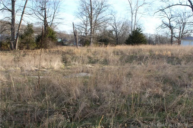 Front exterior — Lot C-8 Country Life Road Gravois Mills Missouri real estate