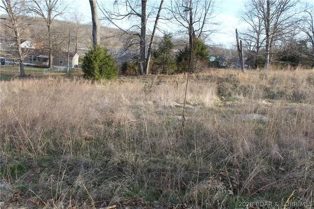 Living room — Lot C-8 Country Life Road Gravois Mills Missouri real estate
