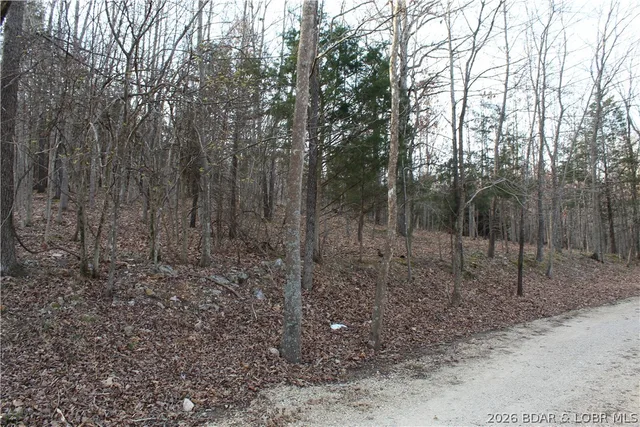Lot 39 Grey Wolf Road, Gravois Mills MO