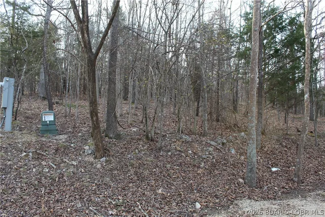 Front exterior — Lot 39 Grey Wolf Road Gravois Mills Missouri real estate