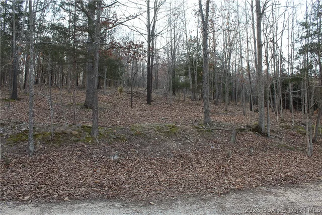 Kitchen — Lot 39 Grey Wolf Road Gravois Mills Missouri real estate