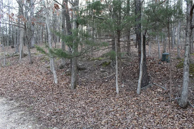 Primary bedroom — Lot 39 Grey Wolf Road Gravois Mills Missouri real estate