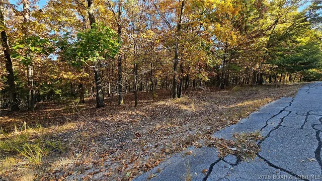 Living room — Lot #785 Muirfield Drive Sunrise Beach Missouri real estate