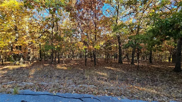Kitchen — Lot #785 Muirfield Drive Sunrise Beach Missouri real estate